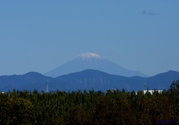 富士山2111aa57s.jpg